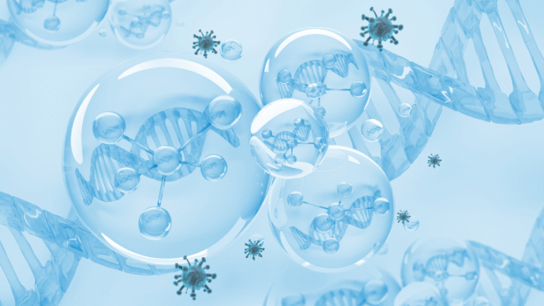 nrf2_la_proteina_que_activa_el_poder_curativo_de_tus_celulas