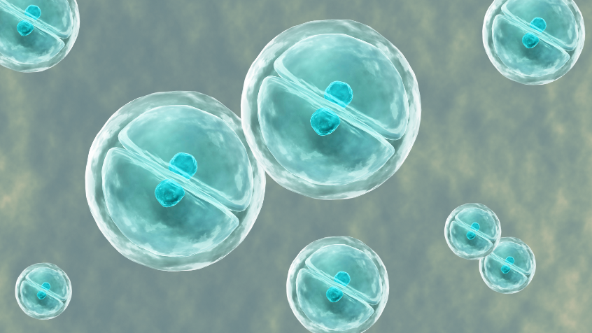 celulas_madre_el_futuro_de_la_medicina_regenerativa_y_la_esperanza_contra_las_enfermedades_crónicas