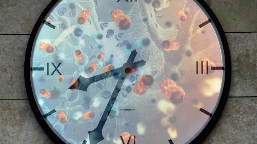 estres_oxidativo_el_enemigo_silencioso_detras_del_envejecimiento_y_las_enfermedades_cronicas